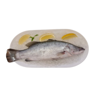 Australian Barramundi 650-700g